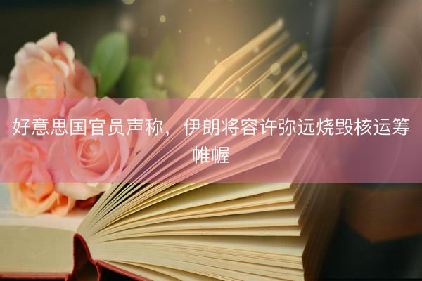 好意思国官员声称，伊朗将容许弥远烧毁核运筹帷幄