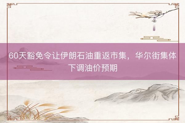 60天豁免令让伊朗石油重返市集，华尔街集体下调油价预期