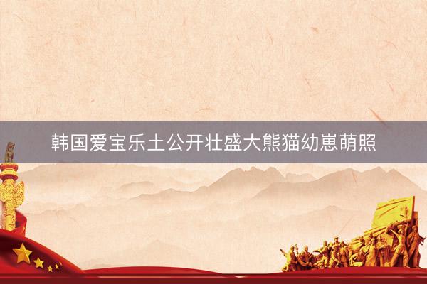 韩国爱宝乐土公开壮盛大熊猫幼崽萌照
